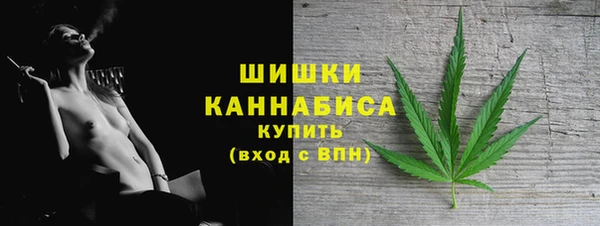 индика Иннополис