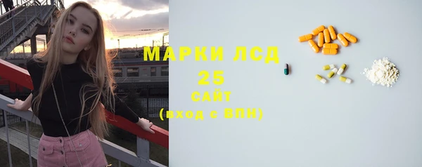 гашик Инсар