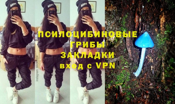 спиды Алексин