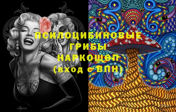 спиды Алексин
