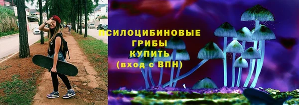 хмурый Алзамай