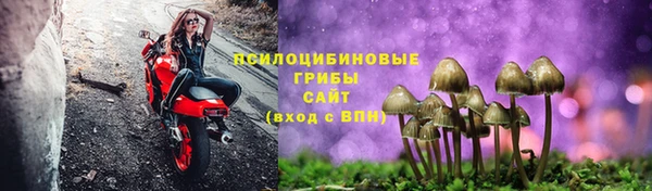 спиды Алексин