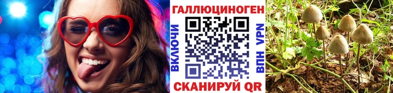 Псилоцибиновые грибы Psilocybine cubensis  Поронайск 